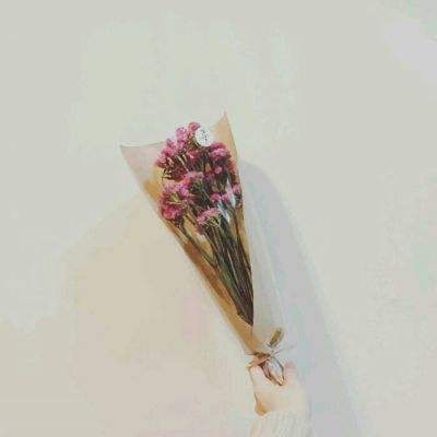 香肠派对7723版下载